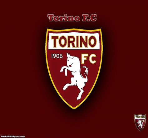 torino fc soccerway